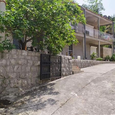 Nature Bay Apartment Kotor Exteriér fotografie